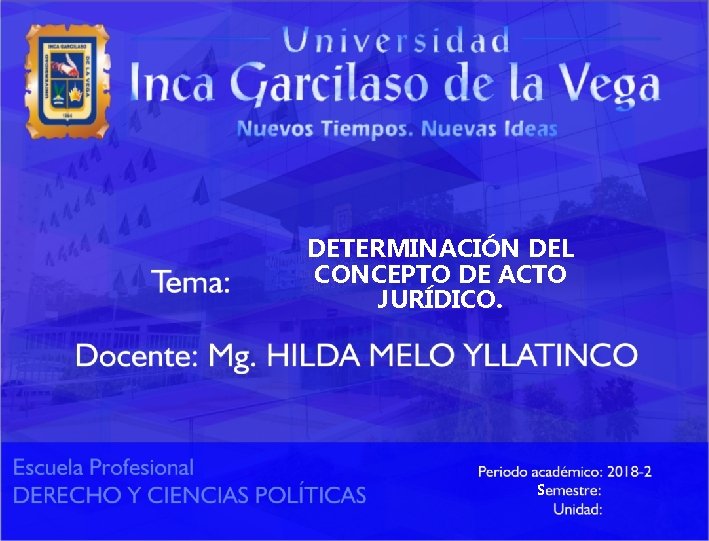 DETERMINACIÓN DEL CONCEPTO DE ACTO JURÍDICO. S 