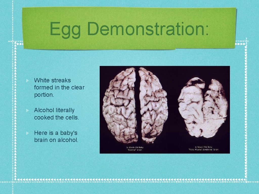 Egg Demonstration: White streaks formed in the clear portion. Alcohol literally cooked the cells.