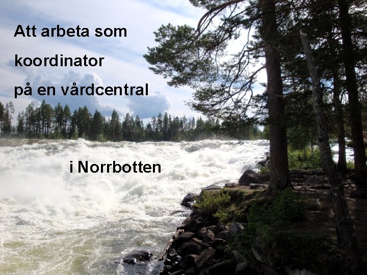 Att arbeta som koordinator på en vårdcentral i Norrbotten 1 