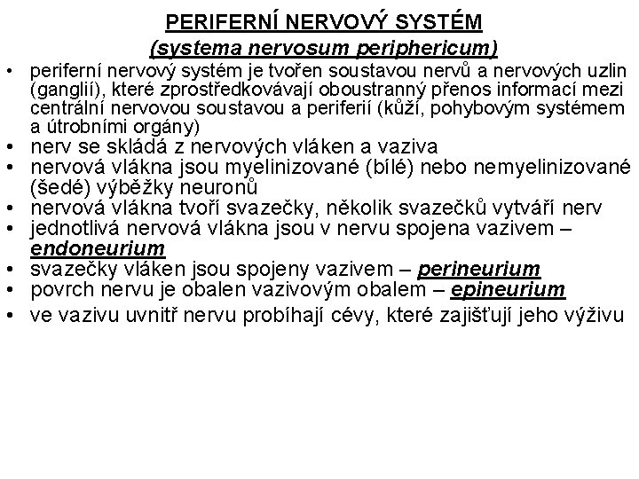 PERIFERNÍ NERVOVÝ SYSTÉM (systema nervosum periphericum) • periferní nervový systém je tvořen soustavou nervů