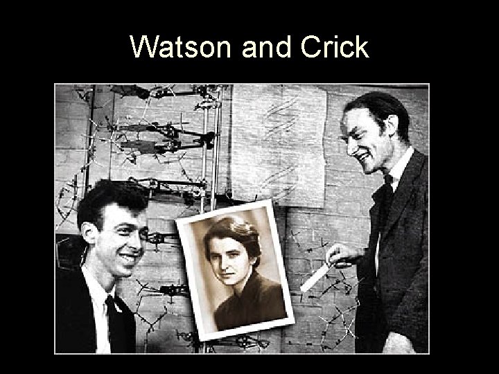 Watson and Crick 