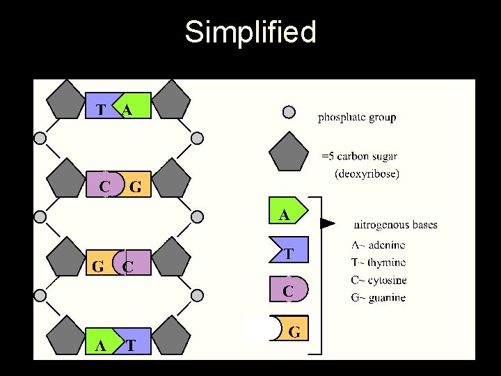 Simplified 