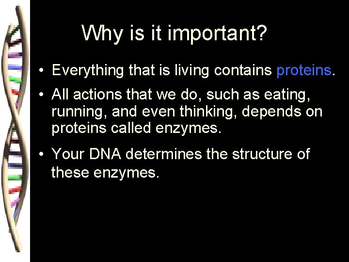 Why is it important? • Everything that is living contains proteins. • All actions