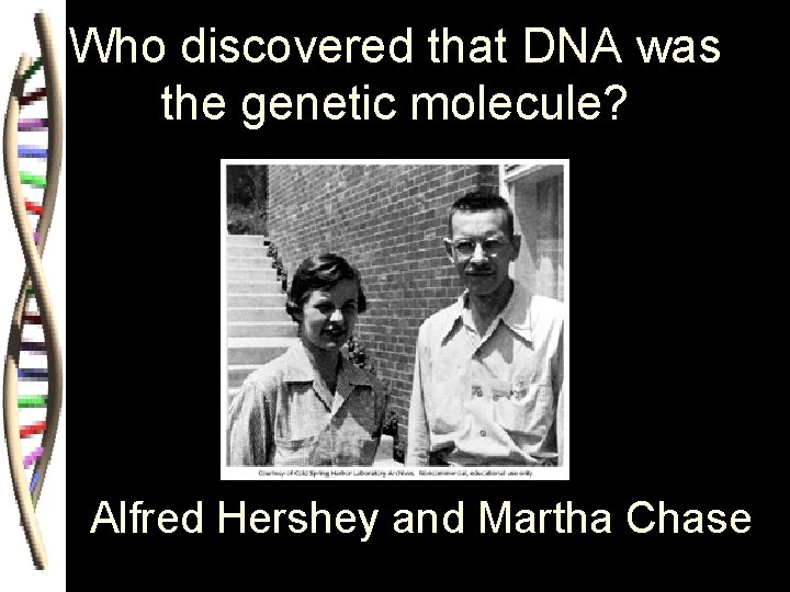 Who discovered that DNA was the genetic molecule? Alfred Hershey and Martha Chase 