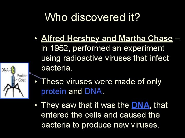 Who discovered it? • Alfred Hershey and Martha Chase – in 1952, performed an