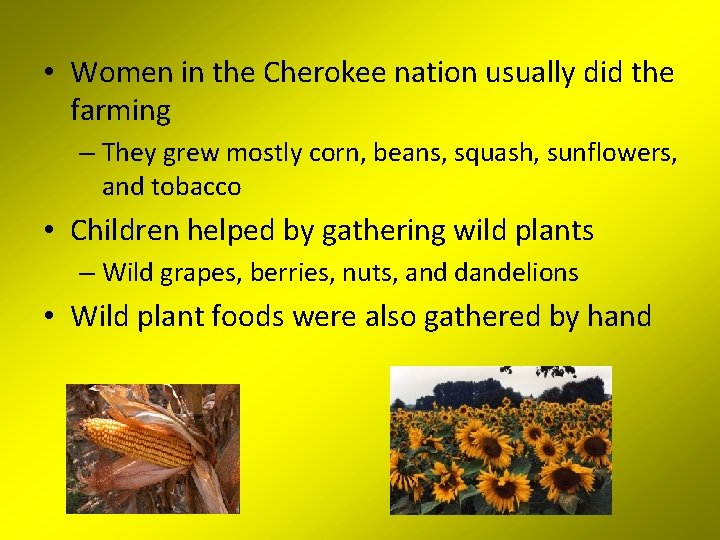  • Women in the Cherokee nation usually did the farming – They grew