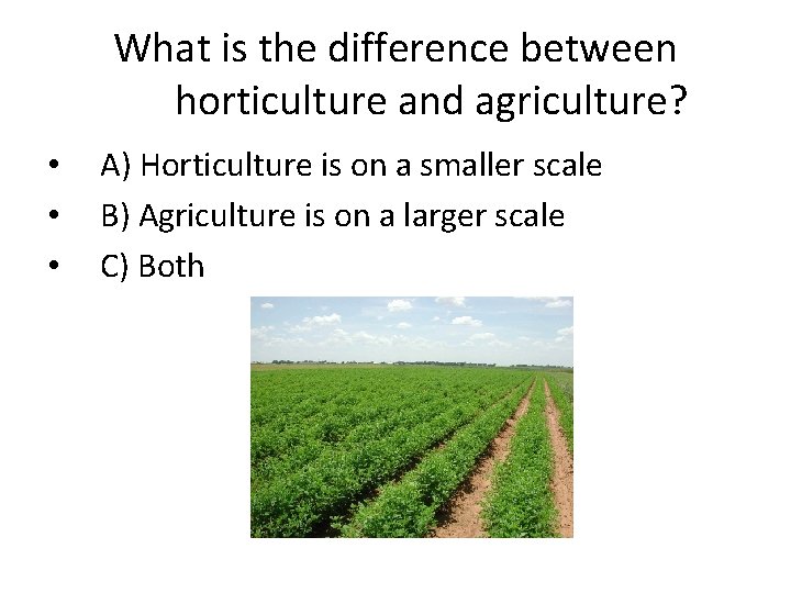 What is the difference between horticulture and agriculture? • • • A) Horticulture is