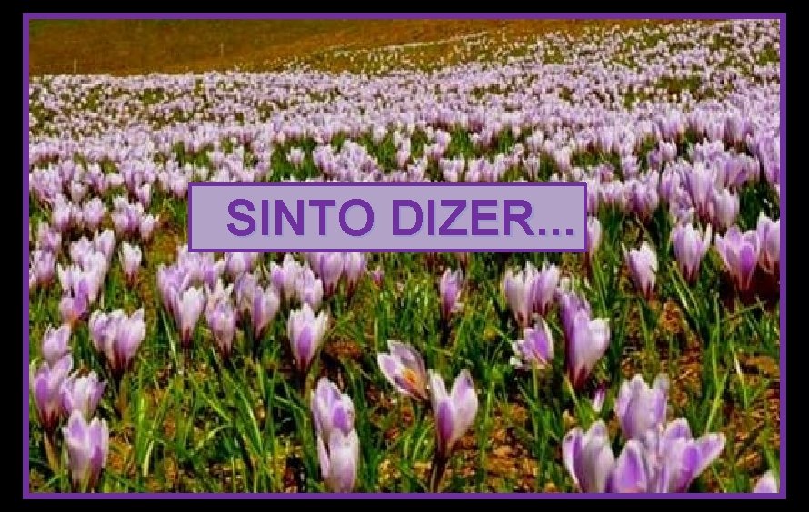 SINTO DIZER. . . 