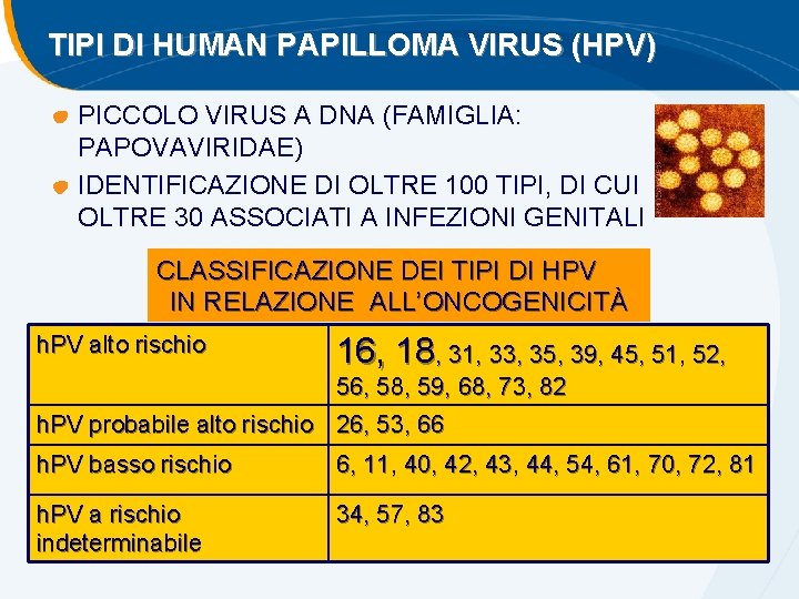 TIPI DI HUMAN PAPILLOMA VIRUS (HPV) PICCOLO VIRUS A DNA (FAMIGLIA: PAPOVAVIRIDAE) IDENTIFICAZIONE DI