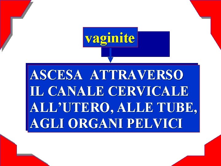 vaginite ASCESA ATTRAVERSO IL CANALE CERVICALE ALL’UTERO, ALLE TUBE, AGLI ORGANI PELVICI 