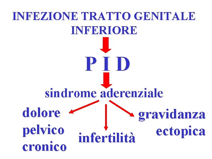 INFEZIONE TRATTO GENITALE INFERIORE PID sindrome aderenziale dolore gravidanza pelvico ectopica infertilità cronico 