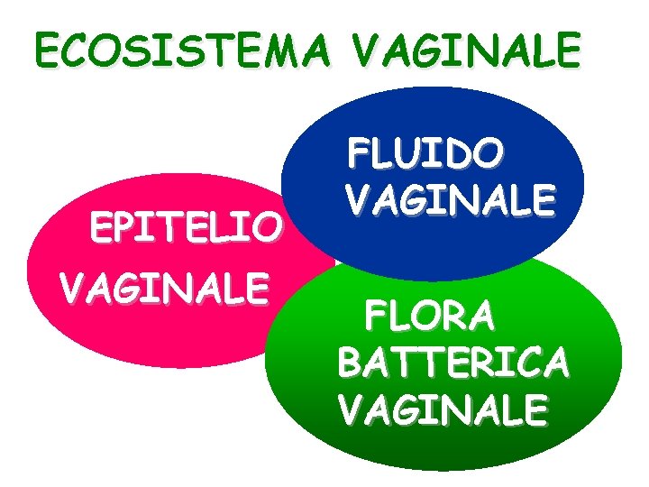 ECOSISTEMA VAGINALE EPITELIO VAGINALE FLUIDO VAGINALE FLORA BATTERICA VAGINALE 