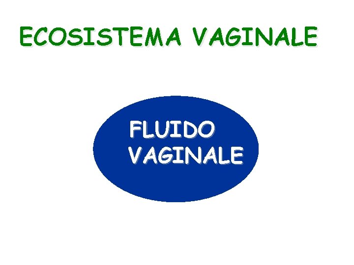 ECOSISTEMA VAGINALE FLUIDO VAGINALE 