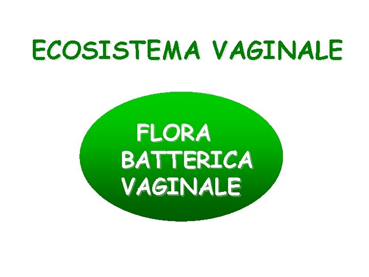 ECOSISTEMA VAGINALE FLORA BATTERICA VAGINALE 