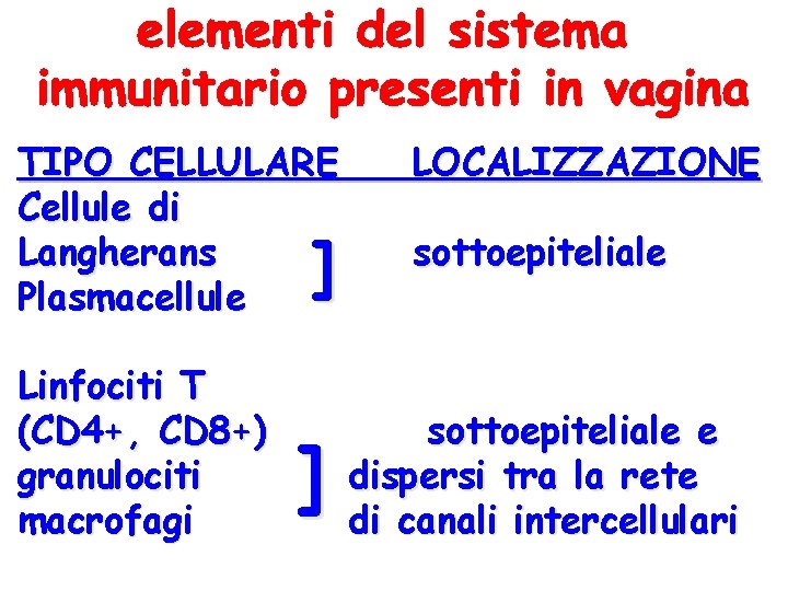 TIPO CELLULARE Cellule di Langherans Plasmacellule Linfociti T (CD 4+, CD 8+) granulociti macrofagi