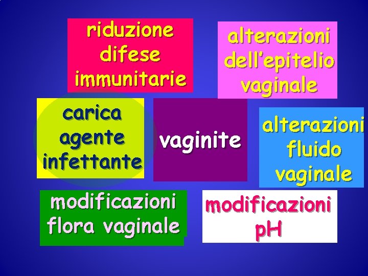 riduzione difese immunitarie alterazioni dell’epitelio vaginale carica alterazioni agente vaginite fluido infettante vaginale modificazioni