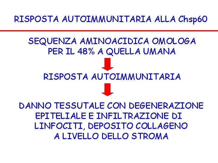 RISPOSTA AUTOIMMUNITARIA ALLA Chsp 60 SEQUENZA AMINOACIDICA OMOLOGA PER IL 48% A QUELLA UMANA