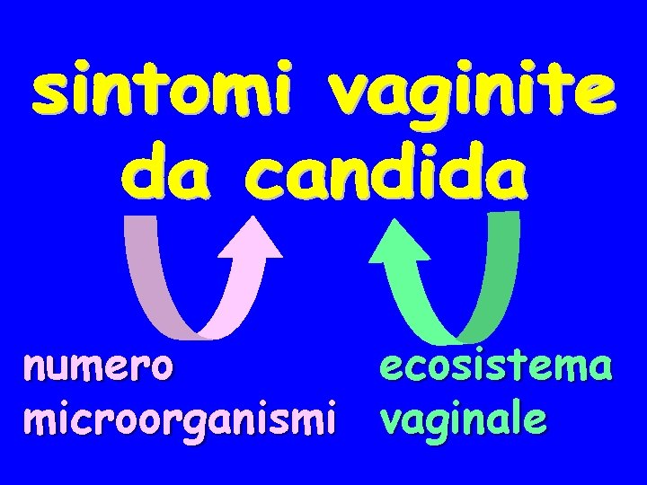 numero microorganismi ecosistema vaginale 