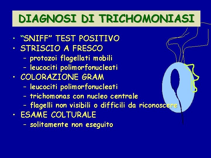 DIAGNOSI DI TRICHOMONIASI • “SNIFF” TEST POSITIVO • STRISCIO A FRESCO – protozoi flagellati