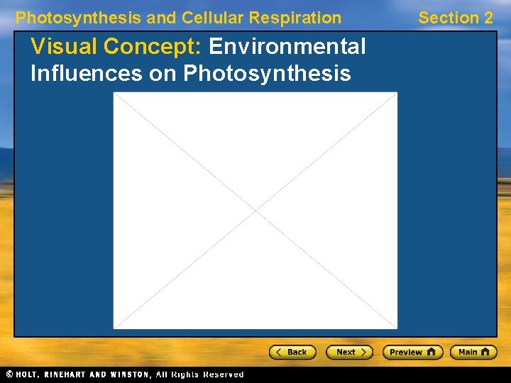 Photosynthesis and Cellular Respiration Section 2 Photosynthesis Preview