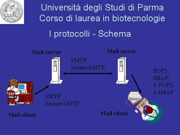 Università degli Studi di Parma Corso di laurea in biotecnologie I protocolli - Schema