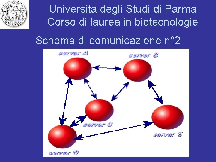 Università degli Studi di Parma Corso di laurea in biotecnologie Schema di comunicazione n°