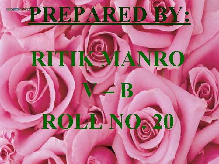 PREPARED BY: RITIK MANRO V–B ROLL NO. 20 