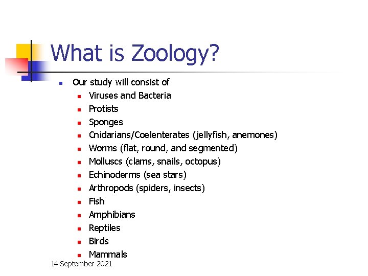 What is Zoology? n Our study will consist of n Viruses and Bacteria n