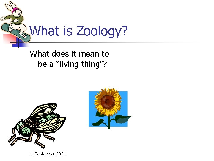 What is Zoology? What does it mean to be a “living thing”? 14 September