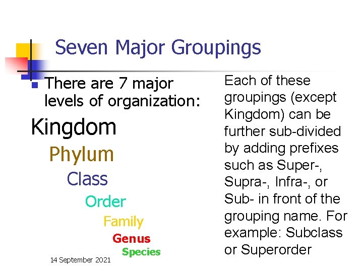 Seven Major Groupings n There are 7 major levels of organization: Kingdom Phylum Class