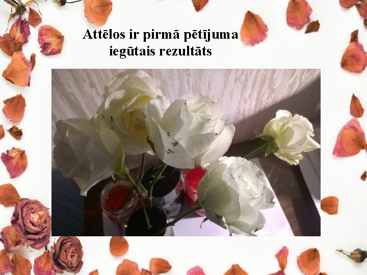 Attēlos ir pirmā pētījuma iegūtais rezultāts 