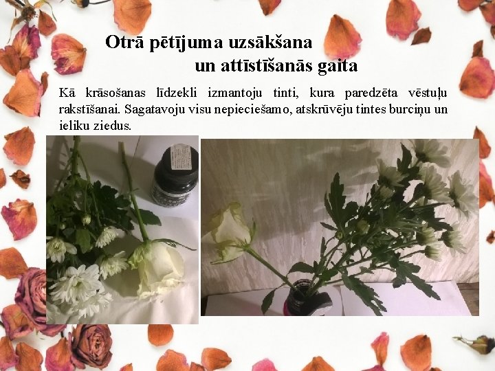 Otrā pētījuma uzsākšana un attīstīšanās gaita Kā krāsošanas līdzekli izmantoju tinti, kura paredzēta vēstuļu