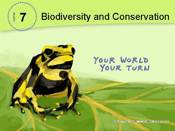 CHAPTER 7 Biodiversity and Conservation 