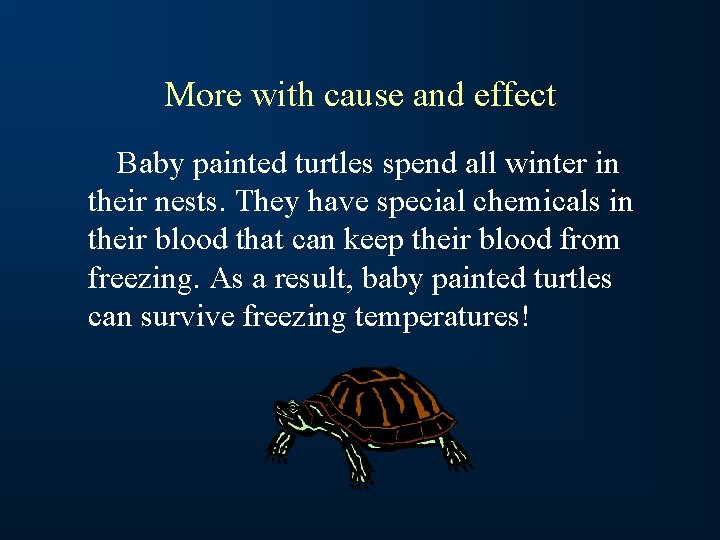 More with cause and effect Baby painted turtles spend all winter in their nests.