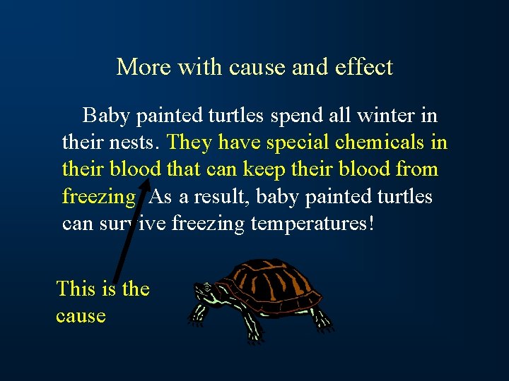 More with cause and effect Baby painted turtles spend all winter in their nests.