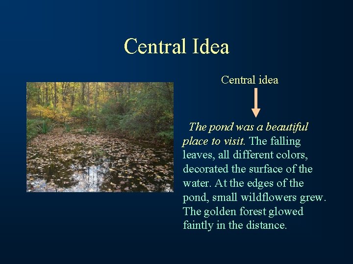 Central Idea Central idea The pond was a beautiful place to visit. The falling