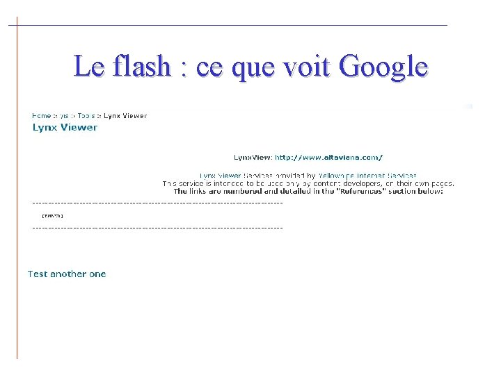 Le flash : ce que voit Google 