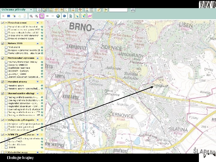 Seminární práce • • • Mapomat Mapa potenciální vegetace Mapa současné vegetace Mapa chráněných