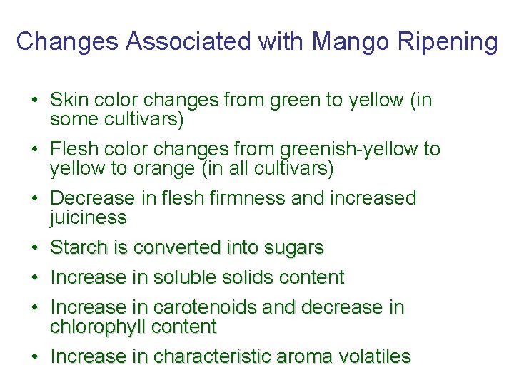 Changes Associated with Mango Ripening • Skin color changes from green to yellow (in