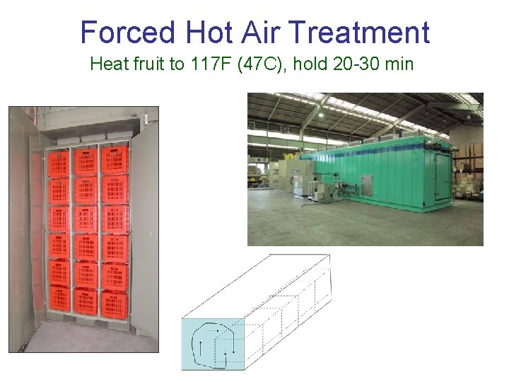 Forced Hot Air Treatment Heat fruit to 117 F (47 C), hold 20 -30