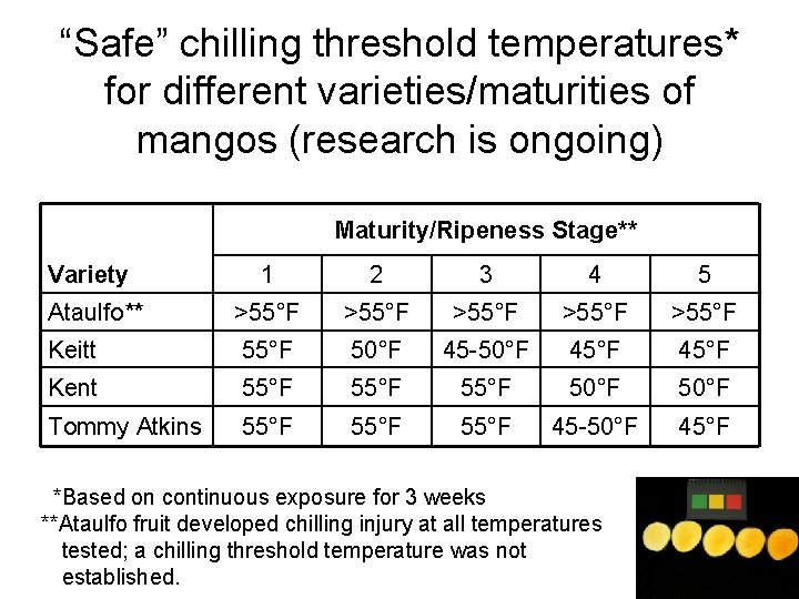 “Safe” chilling threshold temperatures* for different varieties/maturities of mangos (research is ongoing) Maturity/Ripeness Stage**