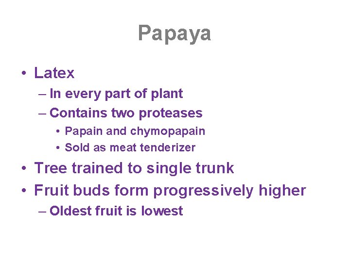 Papaya • Latex – In every part of plant – Contains two proteases •