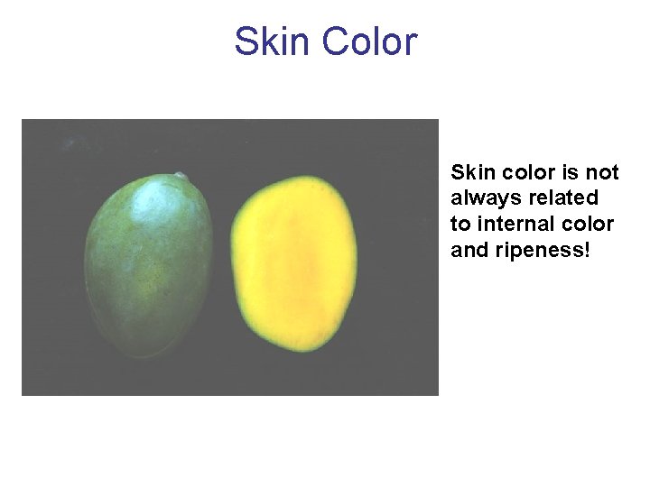 Skin Color Skin color is not always related to internal color and ripeness! 