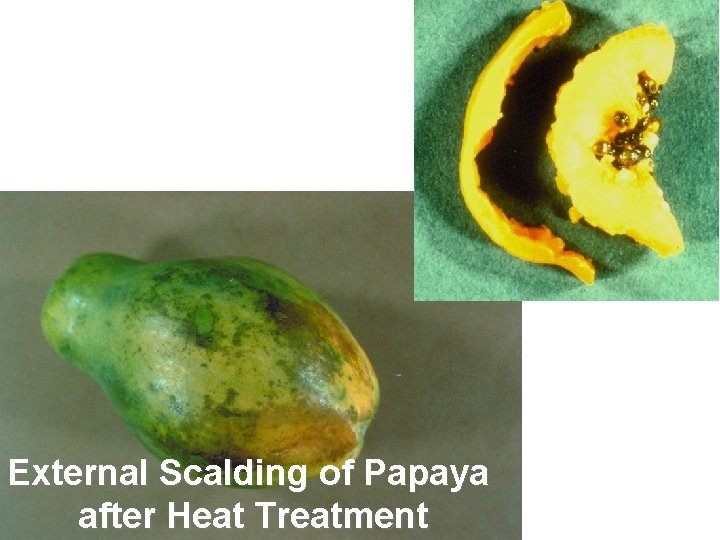 External Scalding of Papaya after Heat Treatment 