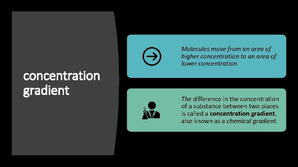 concentration gradient Molecules move from an area of higher concentration to an area of