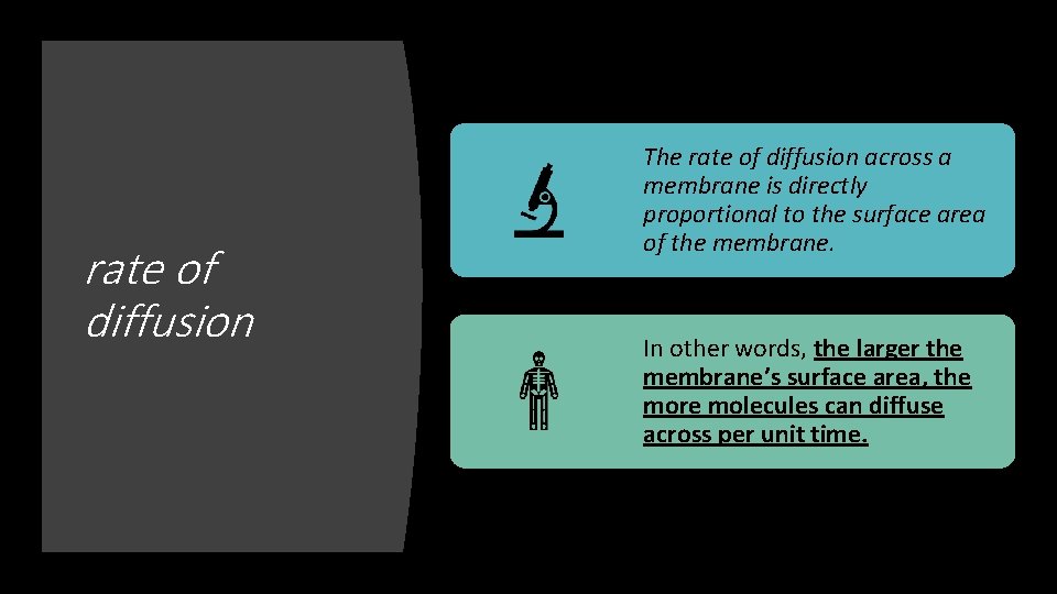 rate of diffusion The rate of diffusion across a membrane is directly proportional to