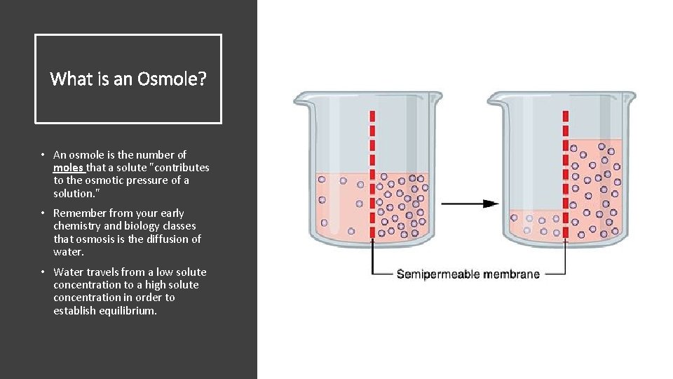 What is an Osmole? • An osmole is the number of moles that a