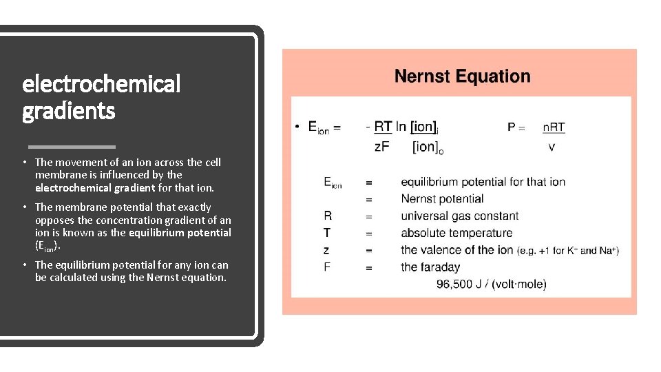 electrochemical gradients • The movement of an ion across the cell membrane is influenced