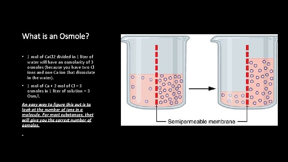 What is an Osmole? • 1 mol of Ca. Cl 2 divided in 1