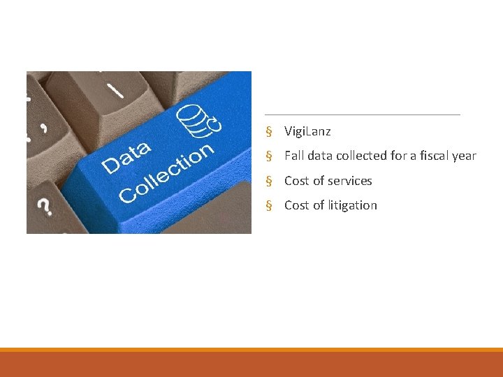 § Vigi. Lanz § Fall data collected for a fiscal year § Cost of